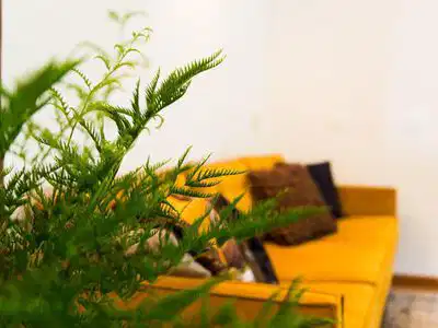 De Paardenstal met de Tuinkamer