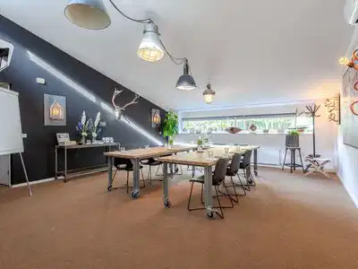 De Meerkoet