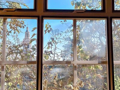 Torenzichtkamer - Streams Brink42